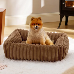 Pet Supplies